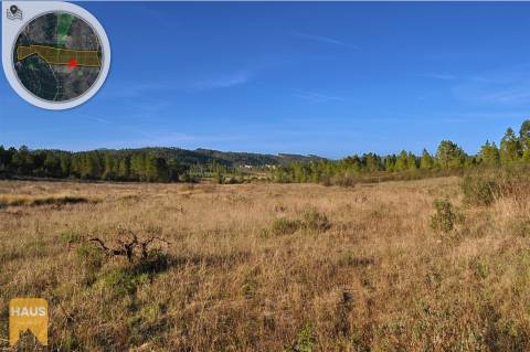 Terreno com 26.000 m² à venda em Castelo Branco.