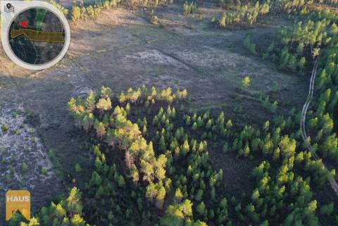 Terreno com 26.000 m² à venda em Castelo Branco.