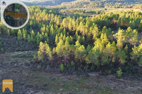 Terreno com 26.000 m² à venda em Castelo Branco.