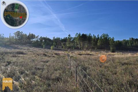 Terreno com 26.000 m² à venda em Castelo Branco.