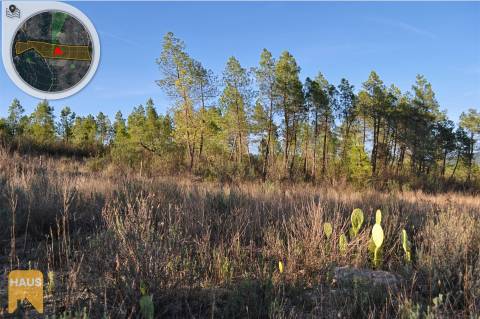 Terreno com 26.000 m² à venda em Castelo Branco.