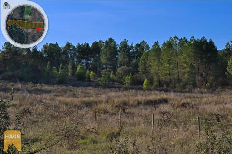 Terreno com 26.000 m² à venda em Castelo Branco.