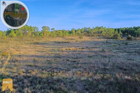 Terreno com 26.000 m² à venda em Castelo Branco.