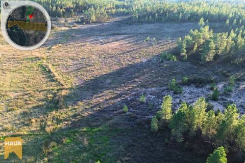 Terreno com 26.000 m² à venda em Castelo Branco.