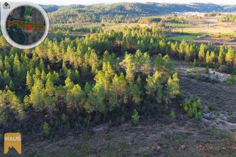 Terreno com 26.000 m² à venda em Castelo Branco.