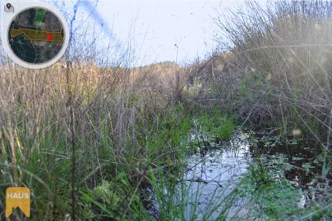 Terreno com 26.000 m² à venda em Castelo Branco.