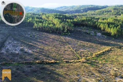 Terreno com 26.000 m² à venda em Castelo Branco.