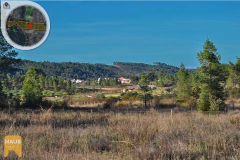 Terreno com 26.000 m² à venda em Castelo Branco.