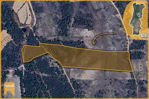 Terreno com 26.000 m² à venda em Castelo Branco.