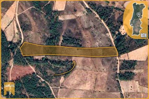 Terreno com 11.880 m² à venda em Castelo Branco.