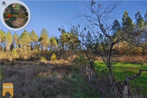 Terreno com 11.880 m² à venda em Castelo Branco.