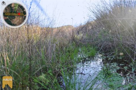 Terreno com 11.880 m² à venda em Castelo Branco.