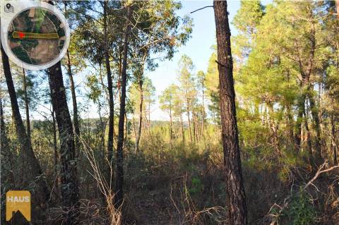 Terreno com 11.880 m² à venda em Castelo Branco.