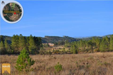 Terreno com 11.880 m² à venda em Castelo Branco.