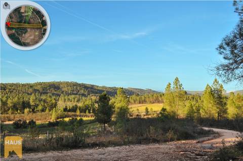 Terreno com 11.880 m² à venda em Castelo Branco.