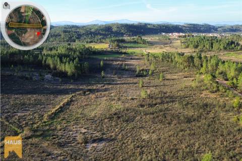 Terreno com 11.880 m² à venda em Castelo Branco.