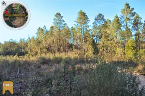 Terreno com 11.880 m² à venda em Castelo Branco.