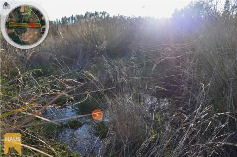 Terreno com 11.880 m² à venda em Castelo Branco.
