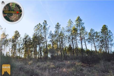 Terreno com 11.880 m² à venda em Castelo Branco.