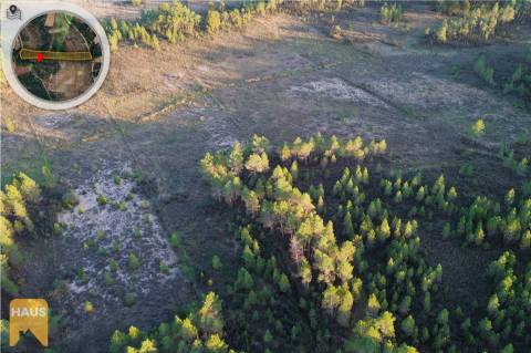 Terreno com 11.880 m² à venda em Castelo Branco.