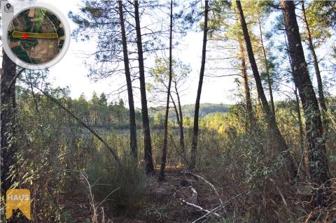 Terreno com 11.880 m² à venda em Castelo Branco.