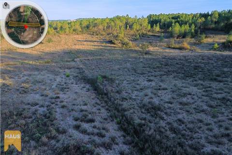 Terreno com 11.880 m² à venda em Castelo Branco.