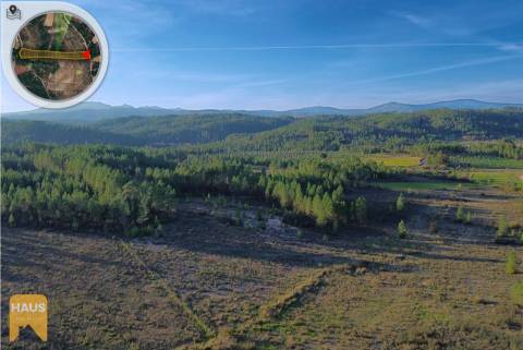 Terreno com 11.880 m² à venda em Castelo Branco.