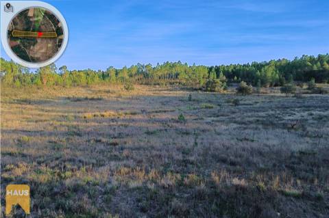 Terreno com 11.880 m² à venda em Castelo Branco.