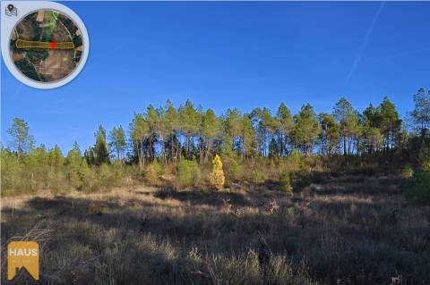 Terreno com 11.880 m² à venda em Castelo Branco.