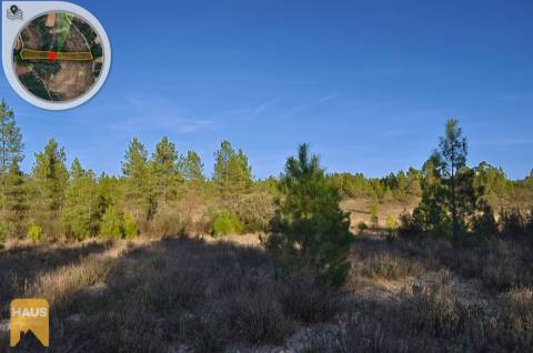 Terreno com 11.880 m² à venda em Castelo Branco.