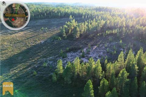 Terreno com 11.880 m² à venda em Castelo Branco.