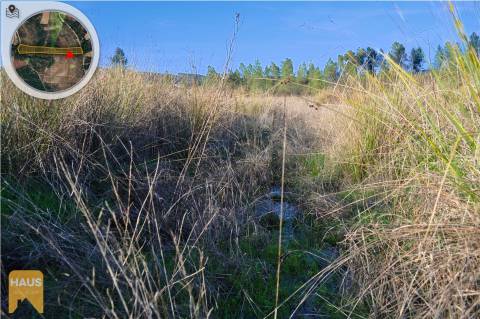 Terreno com 11.880 m² à venda em Castelo Branco.