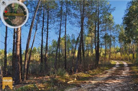 Terreno com 11.880 m² à venda em Castelo Branco.