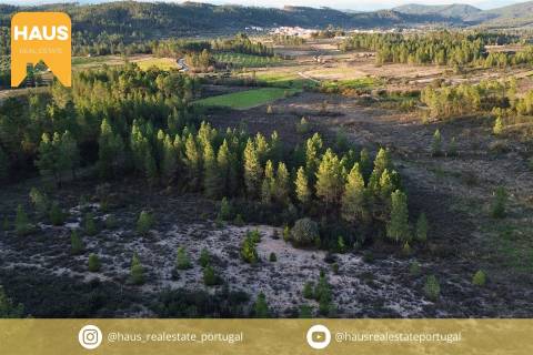 Terreno com 11.880 m² à venda em Castelo Branco.