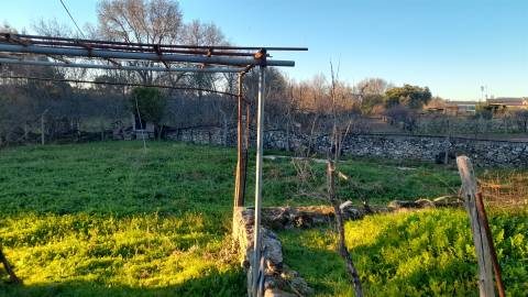 Quintinha  Venda em Escalos de Baixo e Mata,Castelo Branco