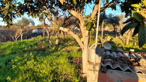 Quintinha  Venda em Escalos de Baixo e Mata,Castelo Branco
