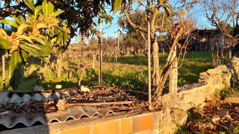 Quintinha  Venda em Escalos de Baixo e Mata,Castelo Branco