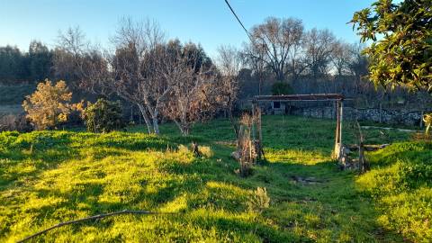 Quintinha  Venda em Escalos de Baixo e Mata,Castelo Branco