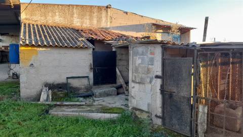 Quintinha  Venda em Escalos de Baixo e Mata,Castelo Branco