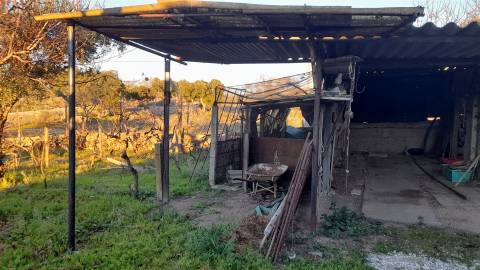 Quintinha  Venda em Escalos de Baixo e Mata,Castelo Branco