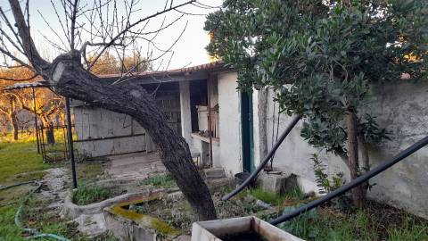 Quintinha  Venda em Escalos de Baixo e Mata,Castelo Branco