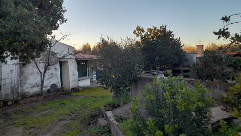 Quintinha  Venda em Escalos de Baixo e Mata,Castelo Branco