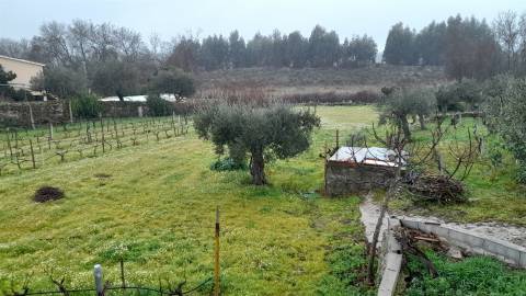 Quinta T3 Venda em Escalos de Baixo e Mata,Castelo Branco