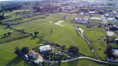 Quinta T0 Venda em Alcains,Castelo Branco