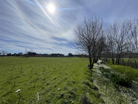 Quinta T0 Venda em Alcains,Castelo Branco