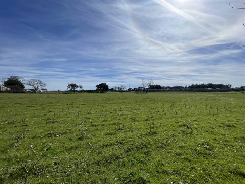 Quinta T0 Venda em Alcains,Castelo Branco