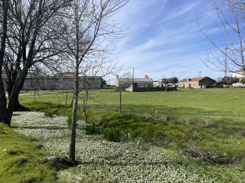 Quinta T0 Venda em Alcains,Castelo Branco