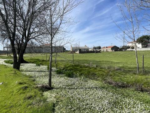 Quinta T0 Venda em Alcains,Castelo Branco