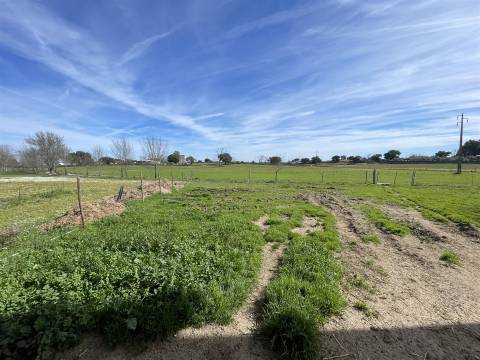Quinta T0 Venda em Alcains,Castelo Branco