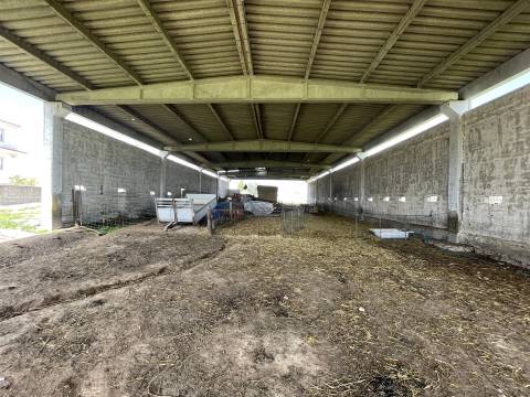 Quinta T0 Venda em Alcains,Castelo Branco